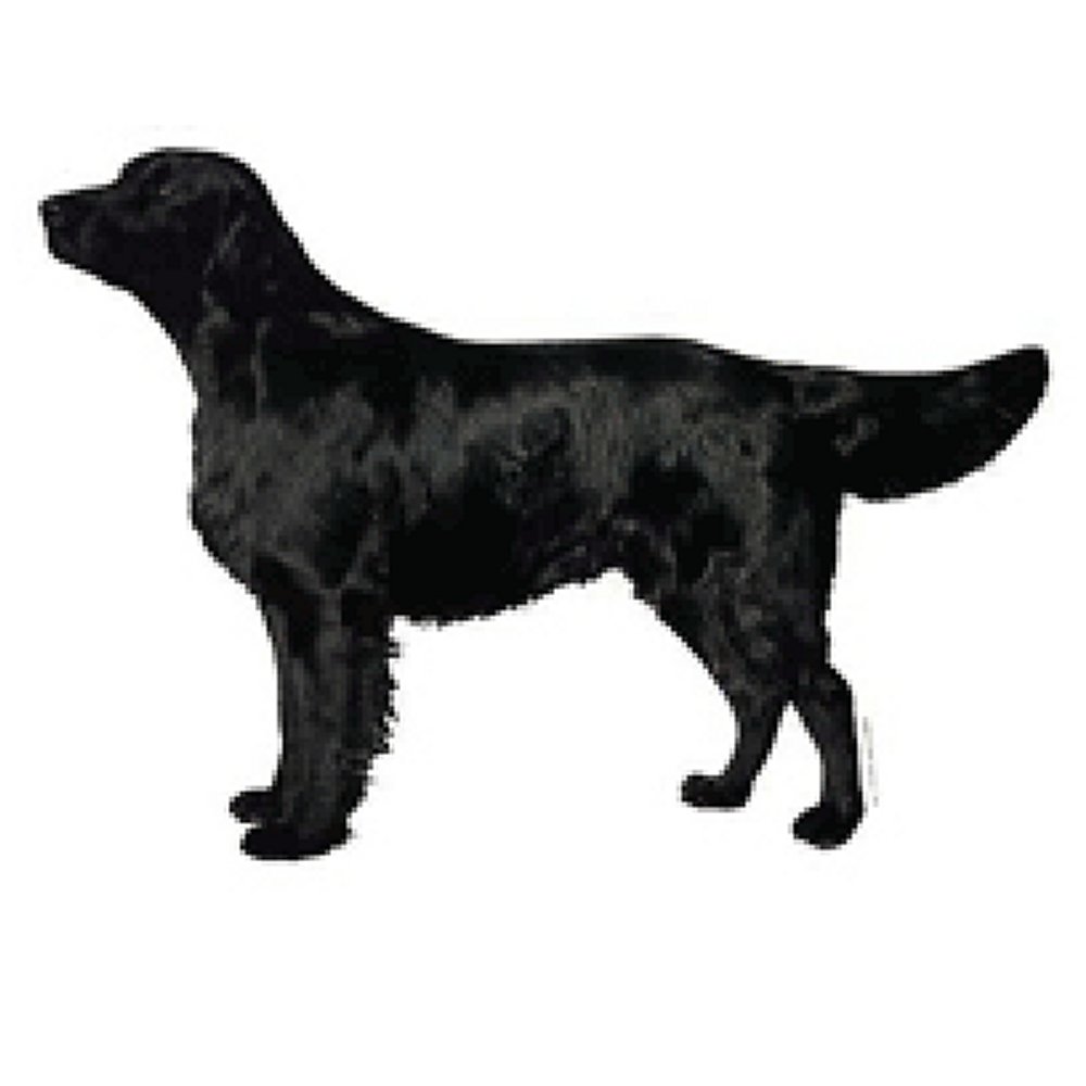 Dekal Flat Coated retriever - 2