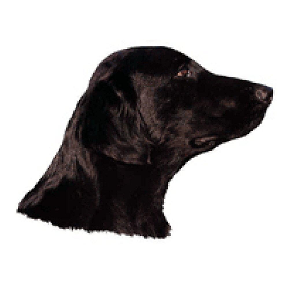 Dekal Flat Coated retriever - 3