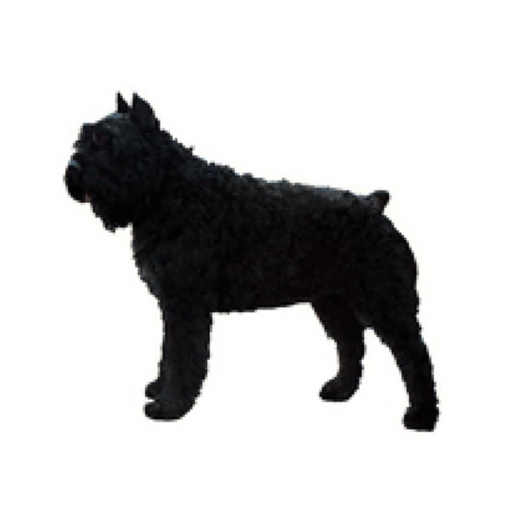 Dekal Bouvier Desflandres - 5