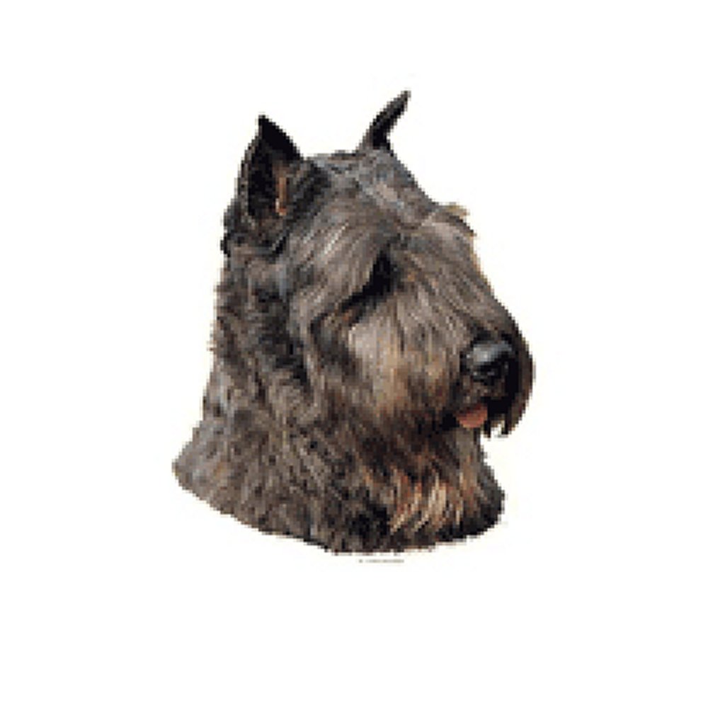 Dekal Bouvier Desflandres - 2