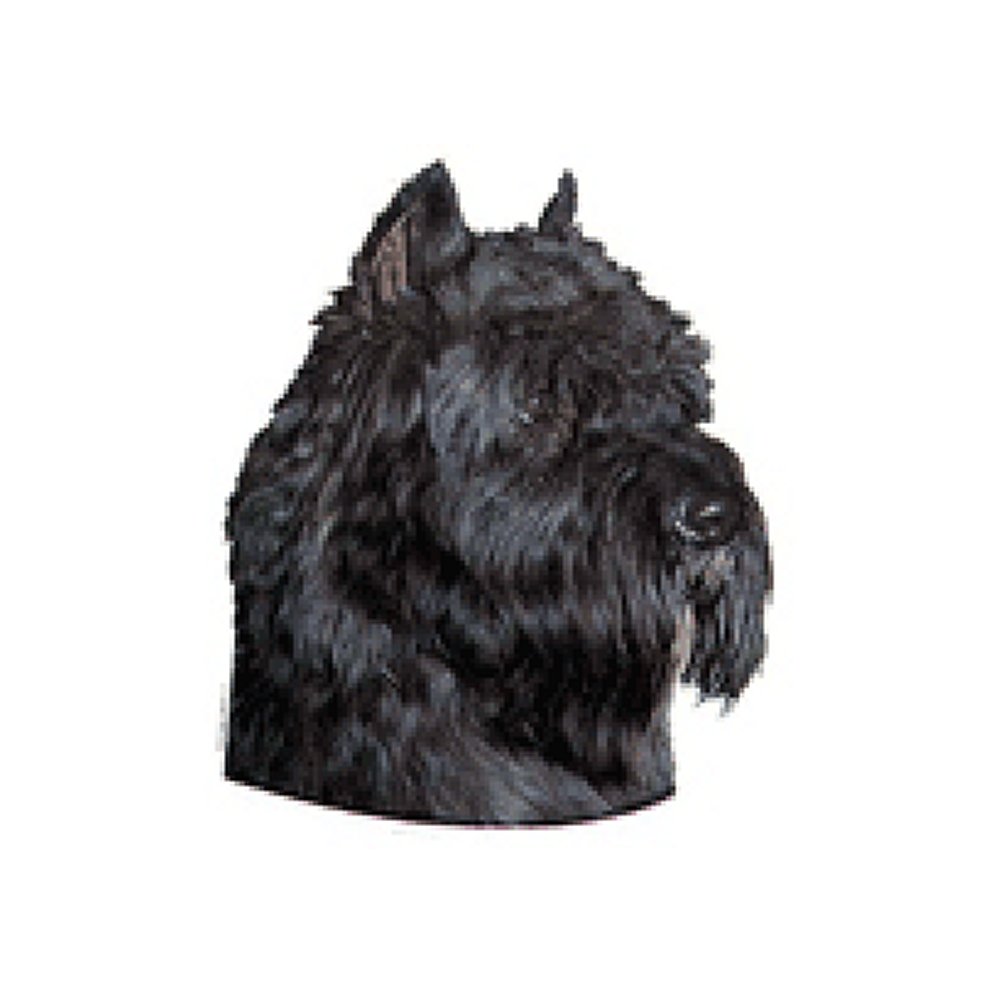 Dekal Bouvier Desflandres - 3