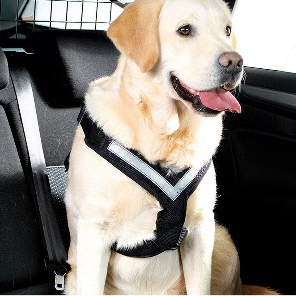 Bilsele Allsafe  MIM Large - 2