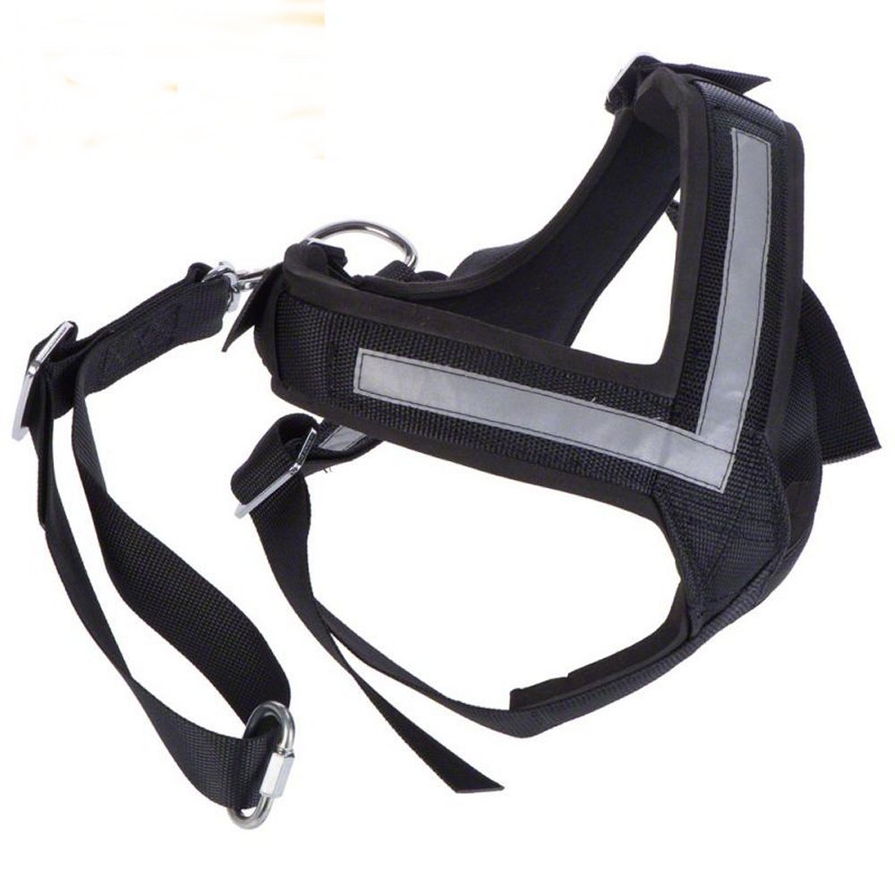 Bilsele Allsafe  MIM Large