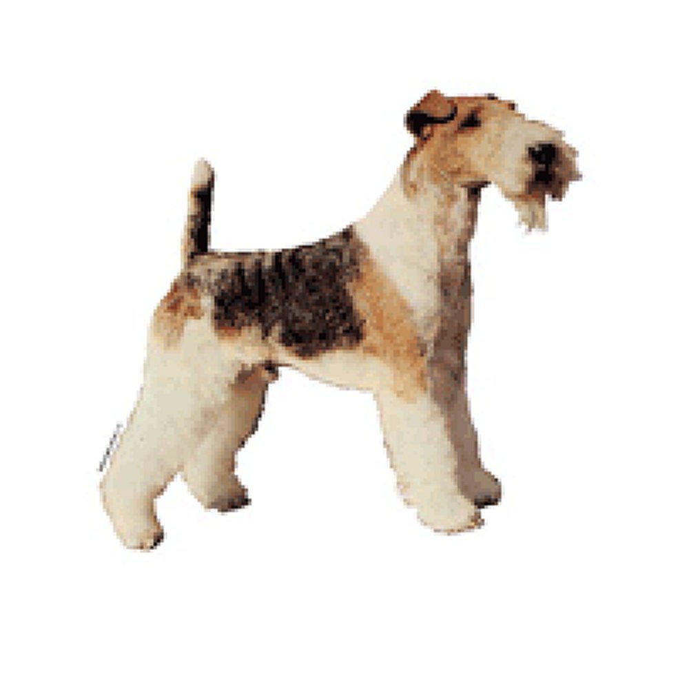 Dekal Foxterrier strävhårig