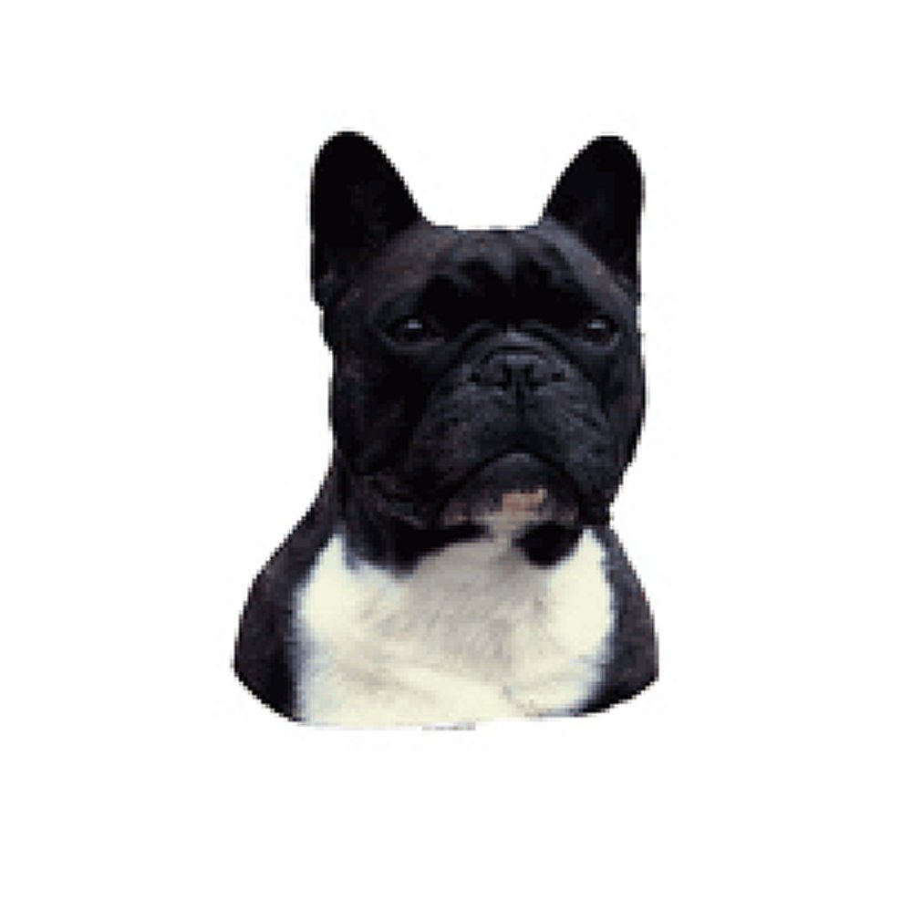 Dekal Fransk Bulldog