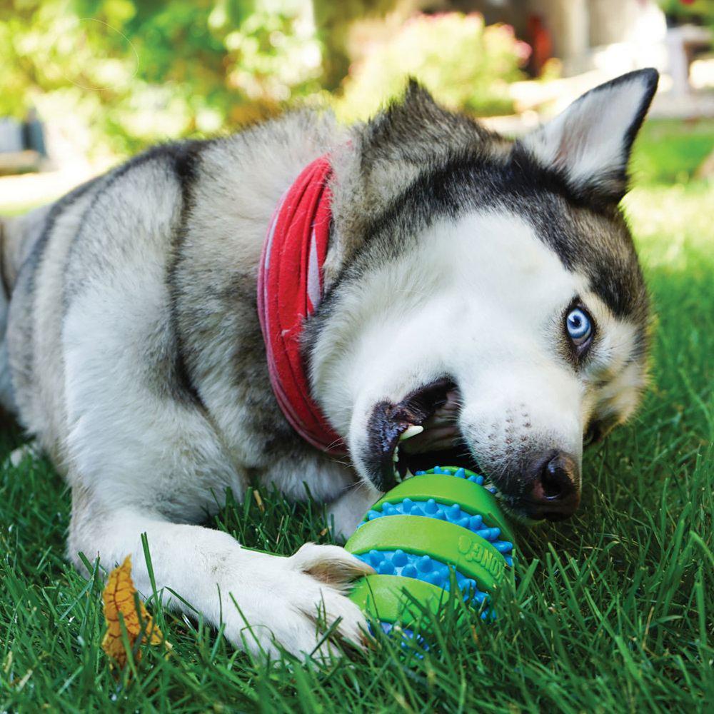 Kong Squeezz Goomz Ball - 2