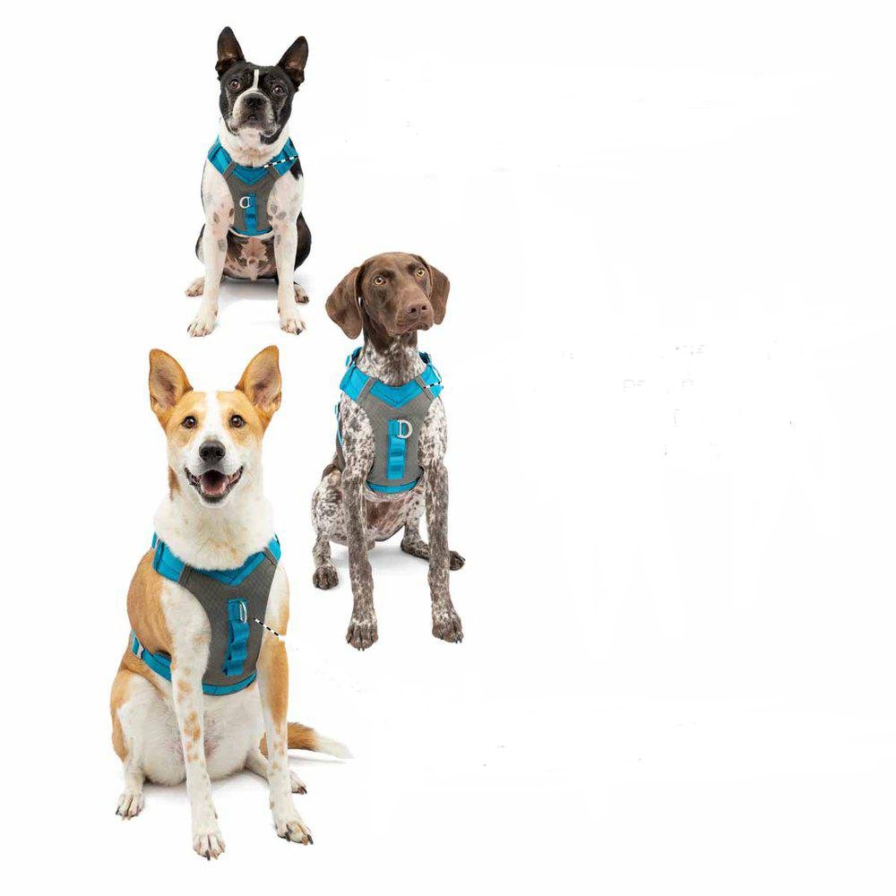 Kurgo Journey Air Harness Black/ Grey - 5