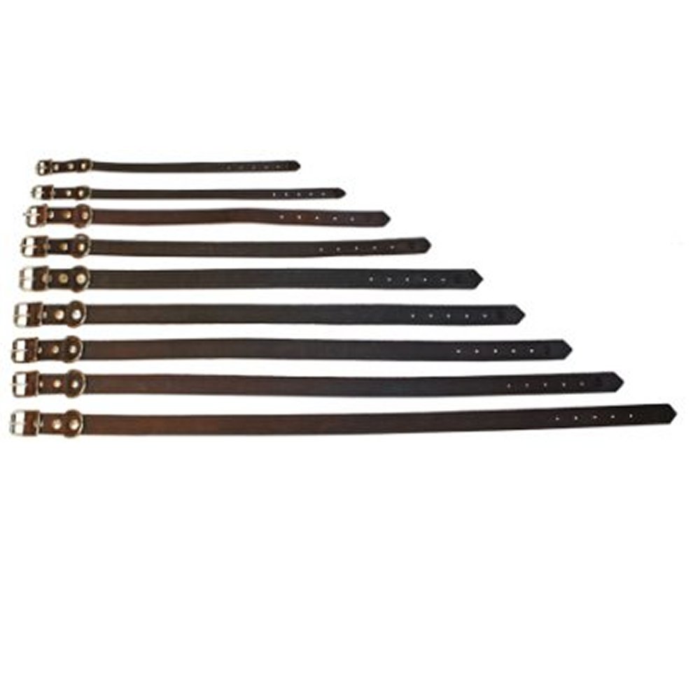 Alac läderhalsband mörkbrun 22mm x 50cm