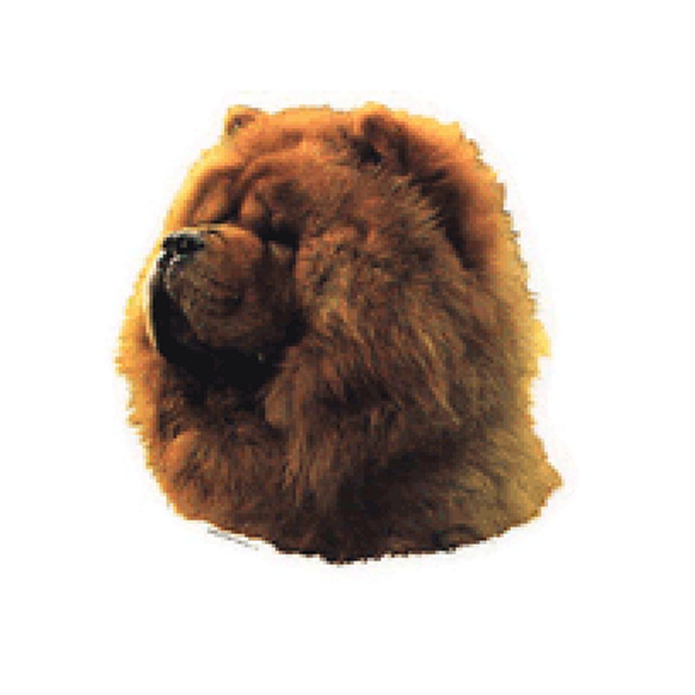Dekal Chow Chow - 2
