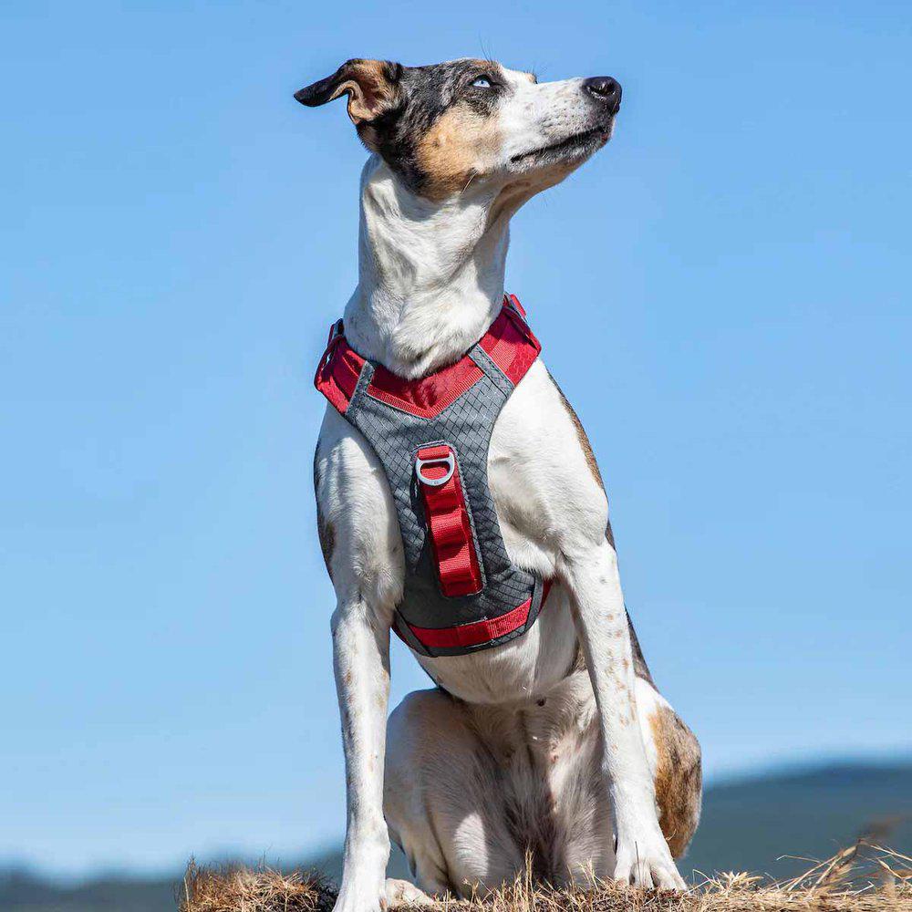 Kurgo Journey Air Harness Red - 2