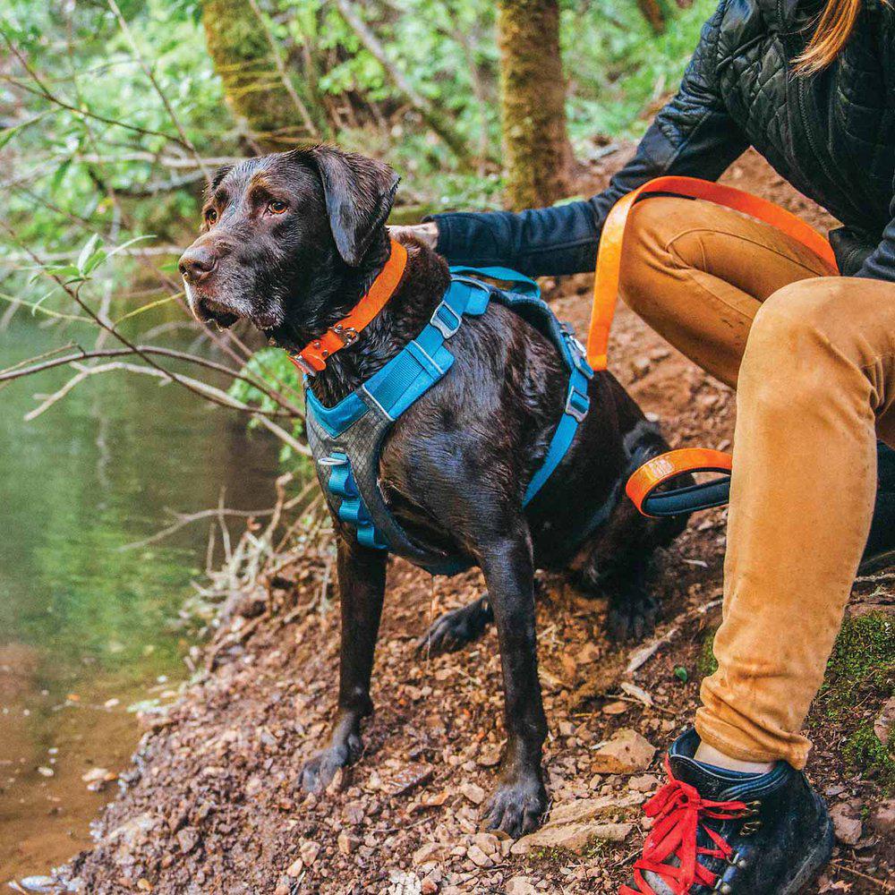 Kurgo Journey Air Harness Blue - 6