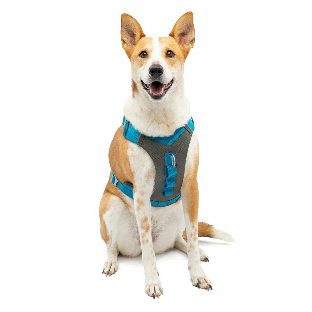 Kurgo Journey Air Harness Blue - 7