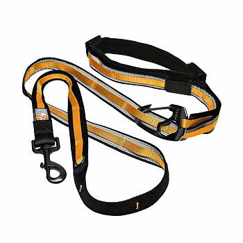 Kurgo Reflect & protect Quantum Leash Black/Orange