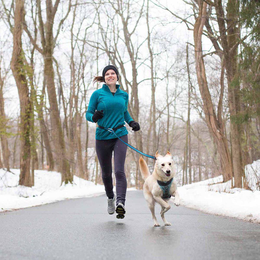 Kurgo Reflect&protect Quantum Leash Red/blue - 3