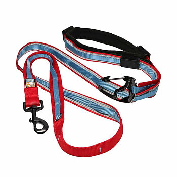 Kurgo Reflect&protect Quantum Leash Red/blue