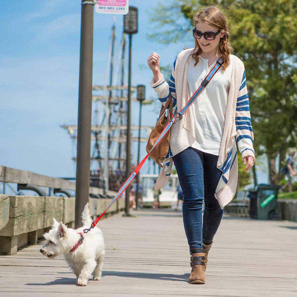 Kurgo Reflect&protect Quantum Leash Coastal Blue - 4