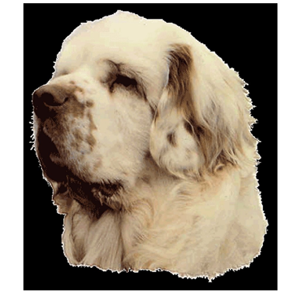 Dekal Clumber Spaniel
