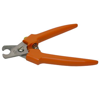 Sekatör Orange
