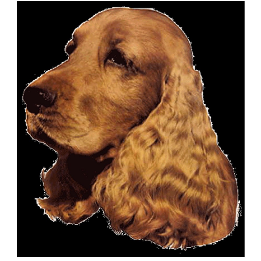 Dekal Cocker Spaniel - 2