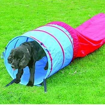Agility tunnel 5 meter