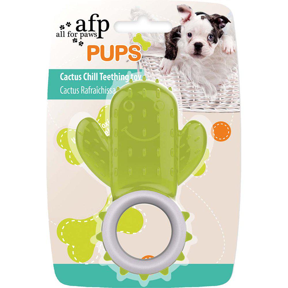Pups Cactus Chill Teethhing