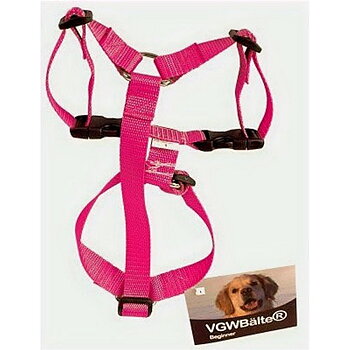 VGW Beginner Rosa strl 2