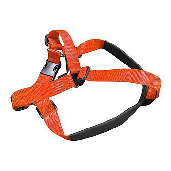 VGW Sele Orange