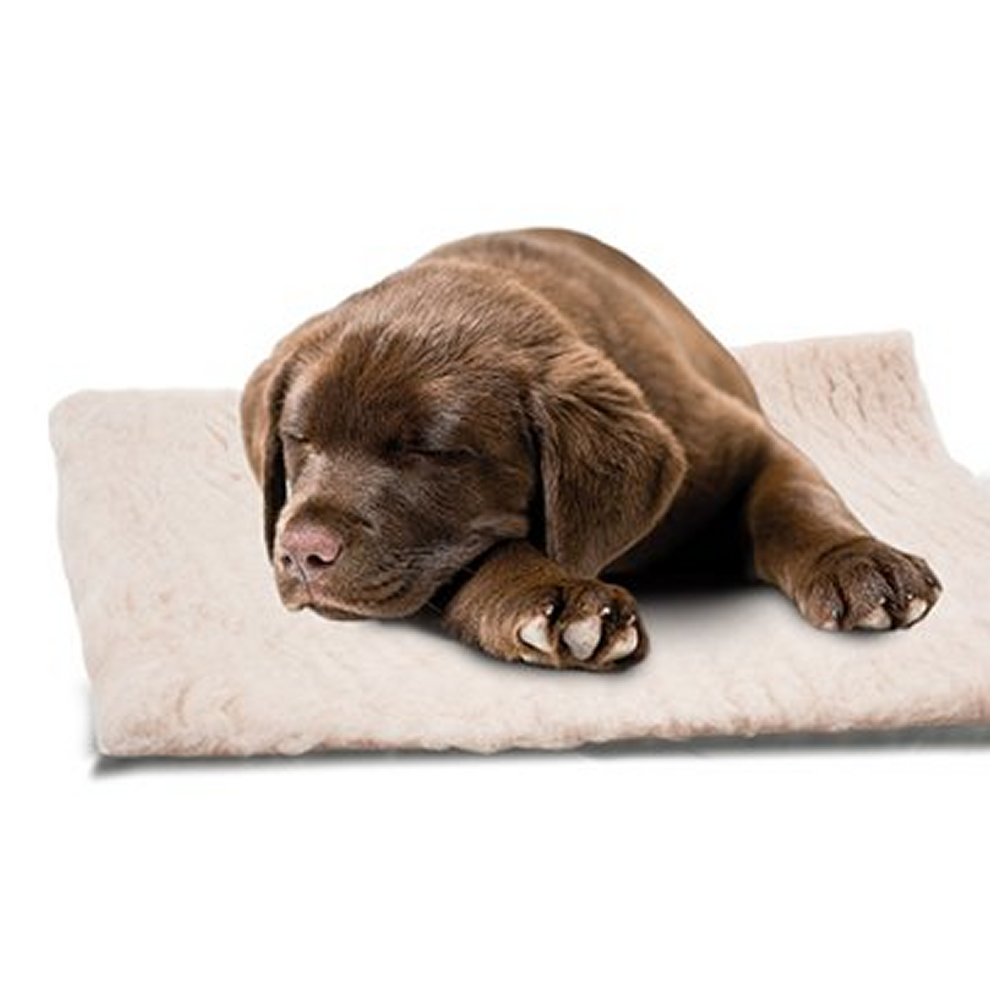 Fäll Dry Bed Beige