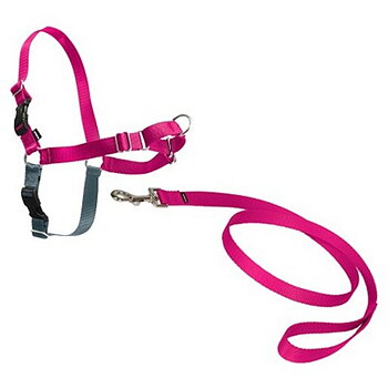 PetSafe Easy Walk sele + koppel Rosa XLarge