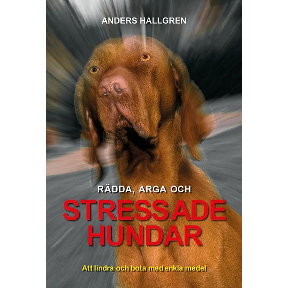 Rädda, stressade och arga hundar