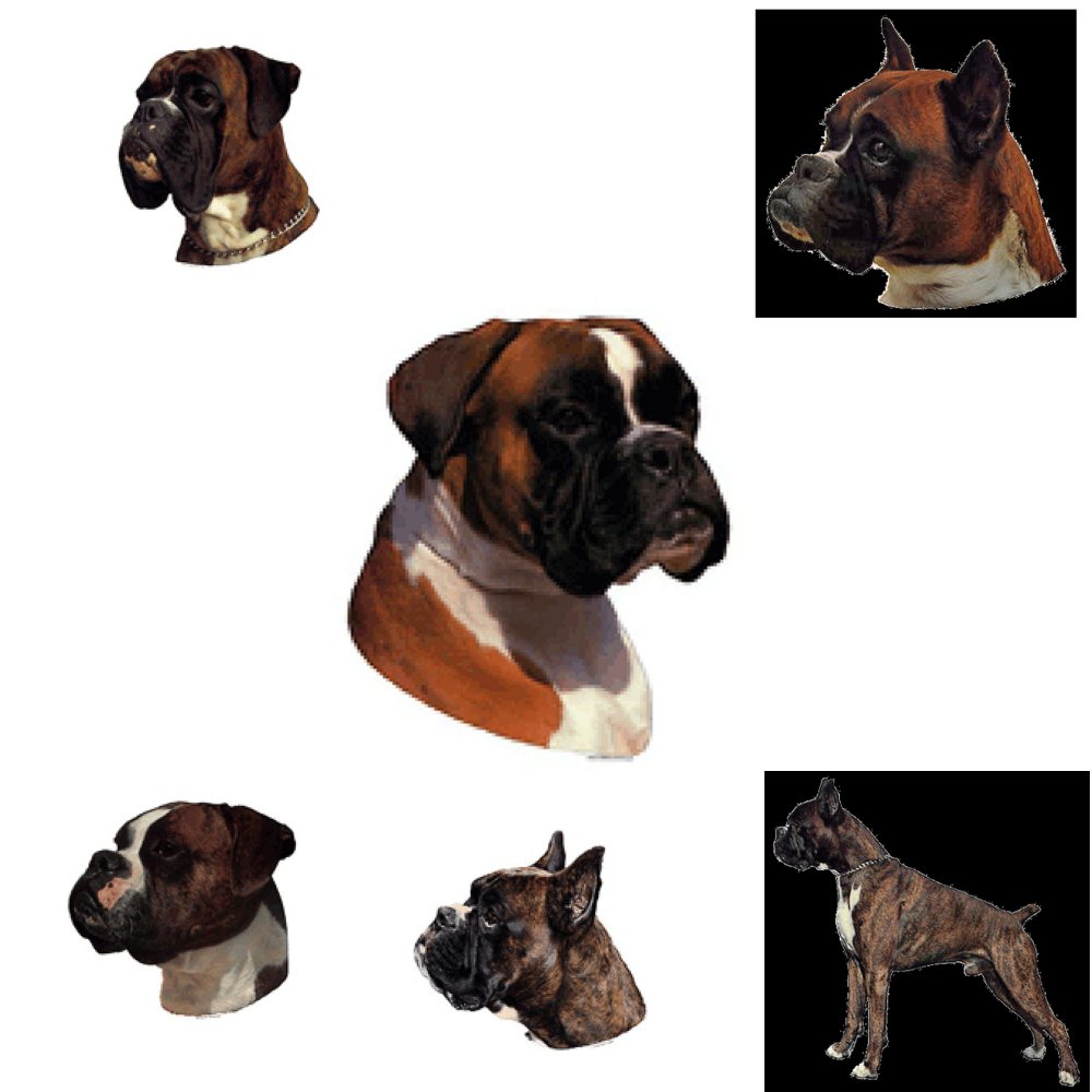 Dekal Boxer