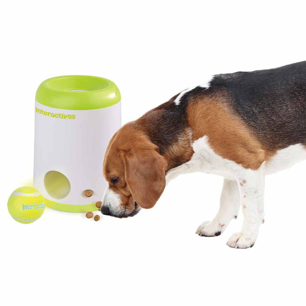 Fetch 'N' Treat - 4
