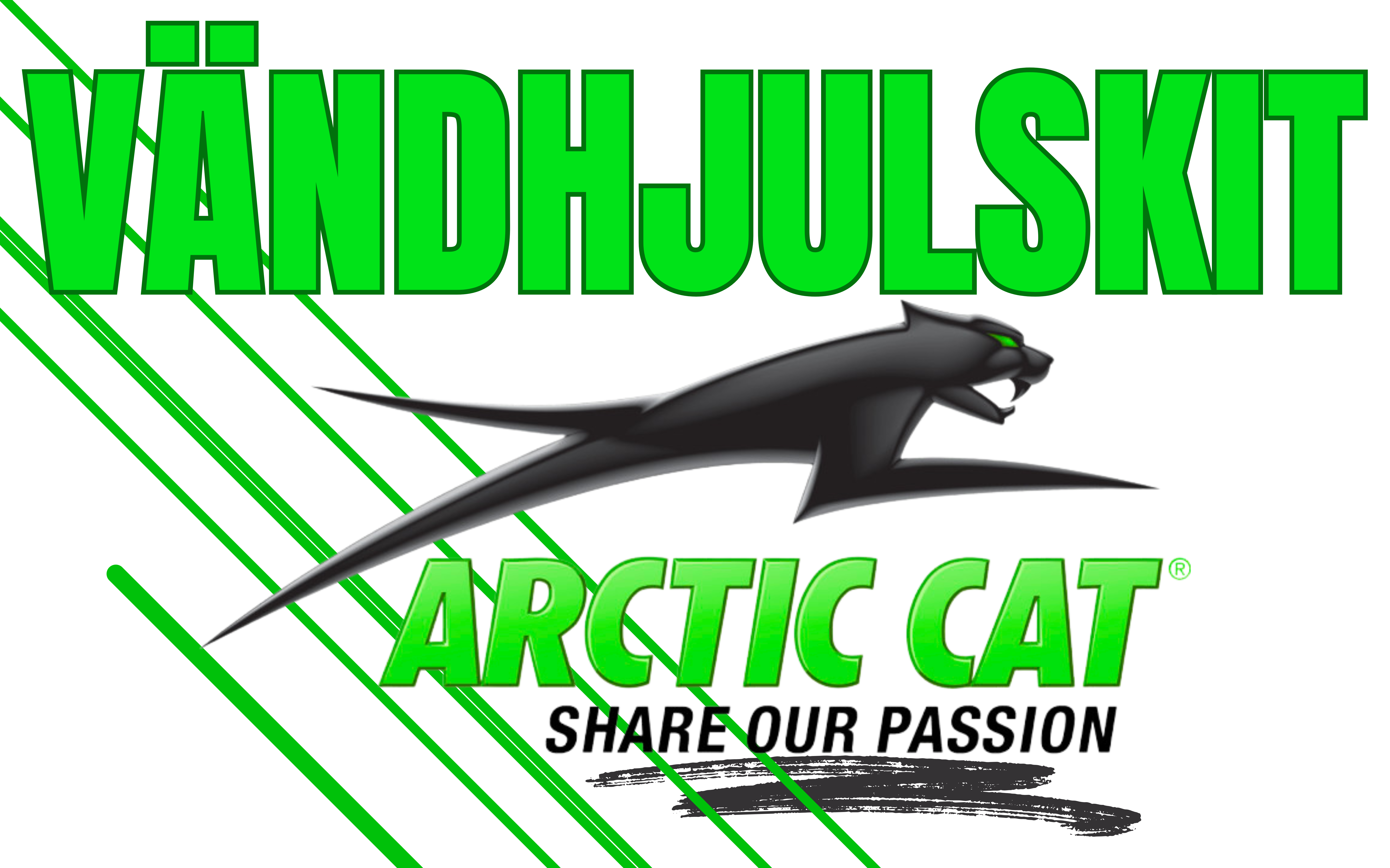 ARCTIC CAT