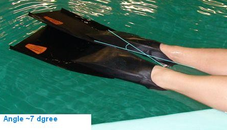 Leaderfins Saver Advance - 4