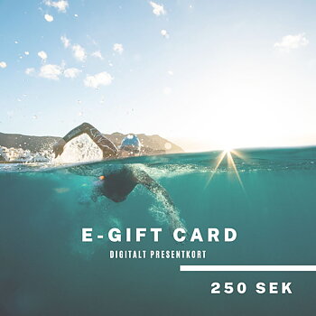 Presentkort 250 KR