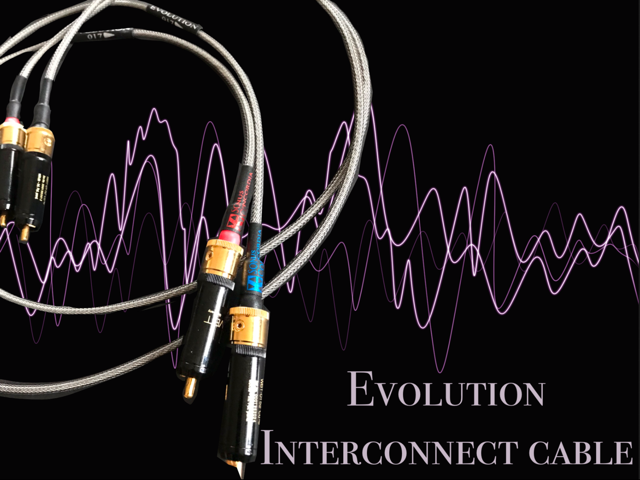 Sonus Concordia - Evolution Interconnect - Akkelis Audio