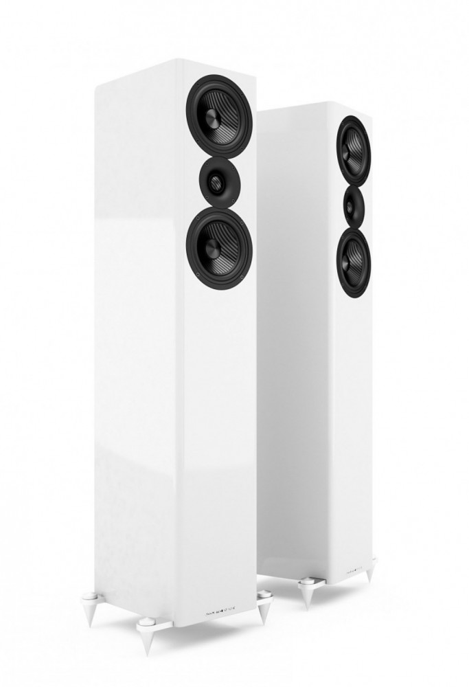 Acoustic Energy AE 509 golvhögtalare - 6