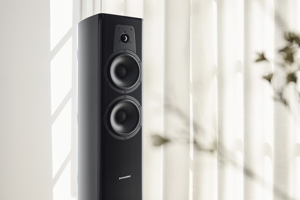 Dynaudio Contour 30i - 4