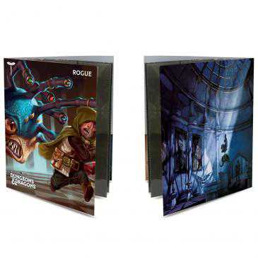 D&D Character Folio Rogue