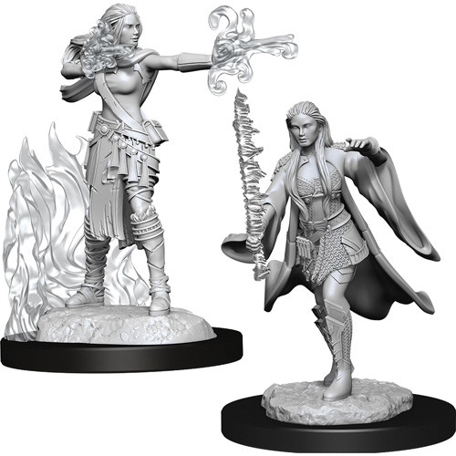 D&D Nolzurs Marvelous Miniatures: Female Multiclass Warlock + Sorcerer