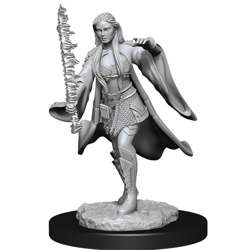 D&D Nolzurs Marvelous Miniatures: Female Multiclass Warlock + Sorcerer - 2