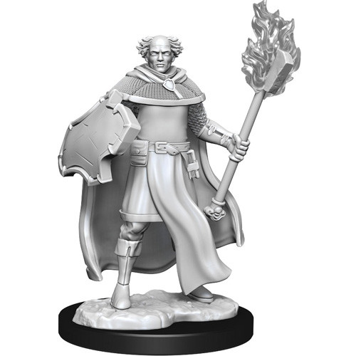D&D Nolzur's Marvelous Miniatures: Multiclass Cleric + Wizard Male - 3
