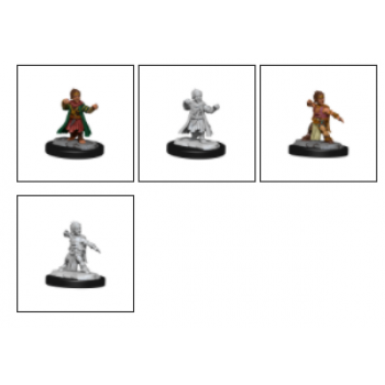 Pathfinder Deep Cuts: Halfing Monk Male - 3