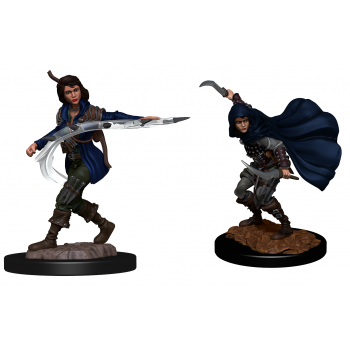 Pathfinder Deepcuts: Human Rogue Female (2 Units)