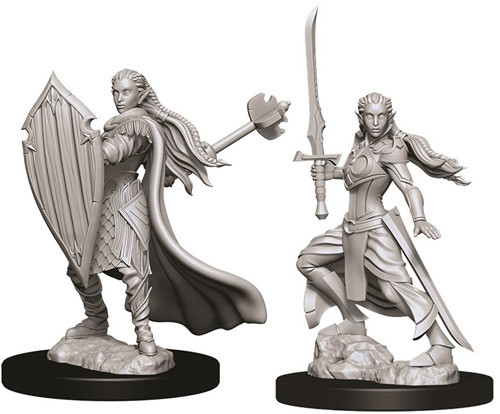D&D Nolzurs Marvelous Miniatures: Female Elf Paladin