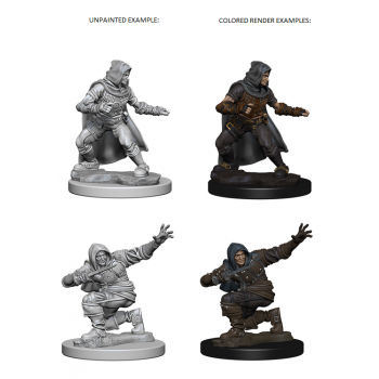 Pathfinder Deep Cuts Unpainted Miniatures - Human Male Rogue