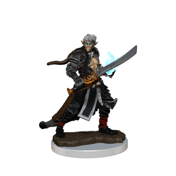 Pathfinder Painted Premium: Male Elf Magus