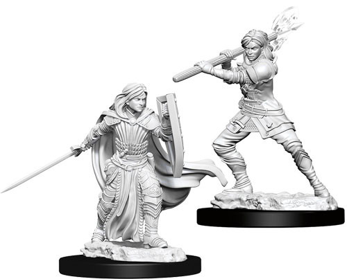 D&D Nolzurs Marvelous Miniatures: Female Human Paladin