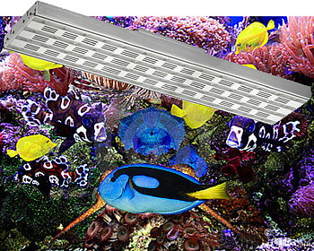 Led Akvariebelysning HighPower 48W