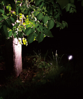 Led COB Trädgårdslampa 3W Varmvit - 2